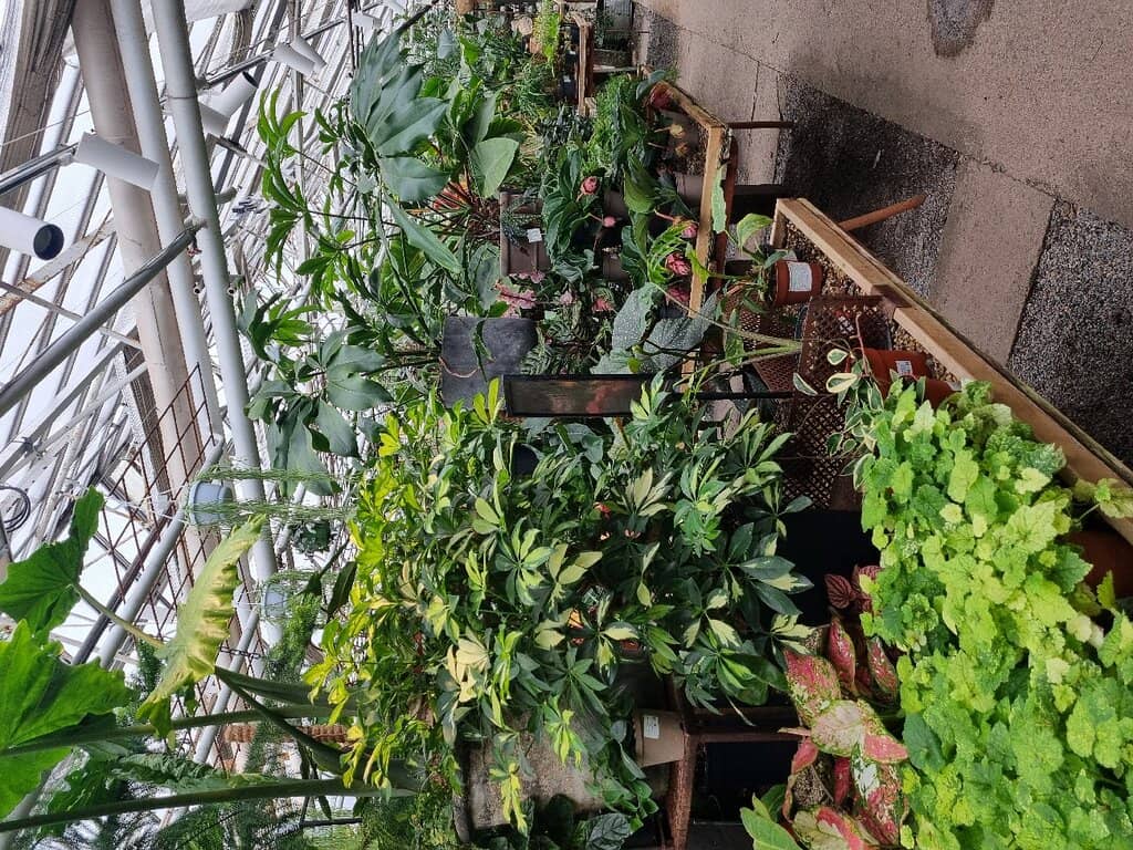 Pick-Your-Own Produce