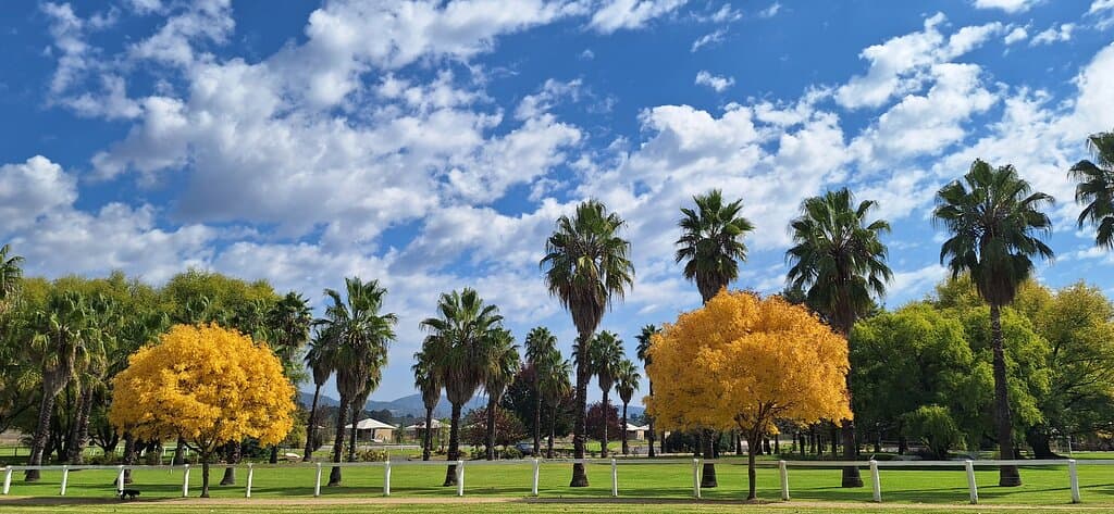Baker Williams Distillery