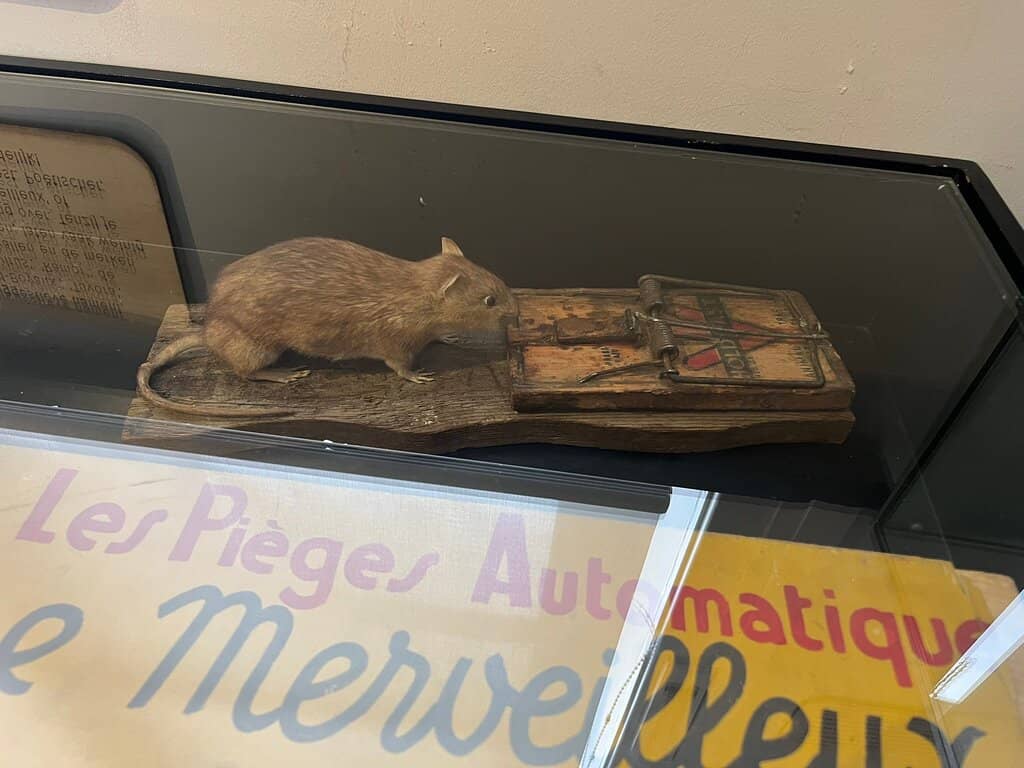 History of Wastewater Engineering