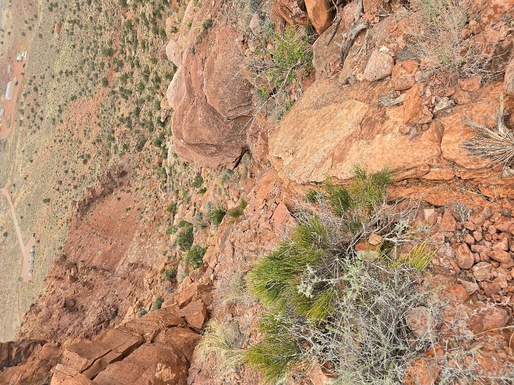 The Challenging Ascent