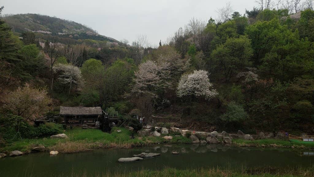 Biking and Walking Trails