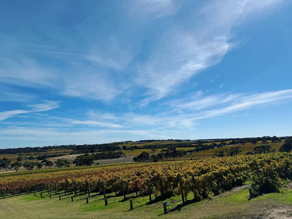 Stunning Vineyard Views