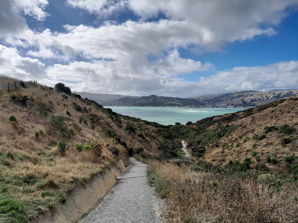 Kaitawa Point Coastal Walk