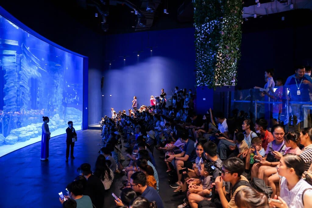 Visit the Lotte Aquarium