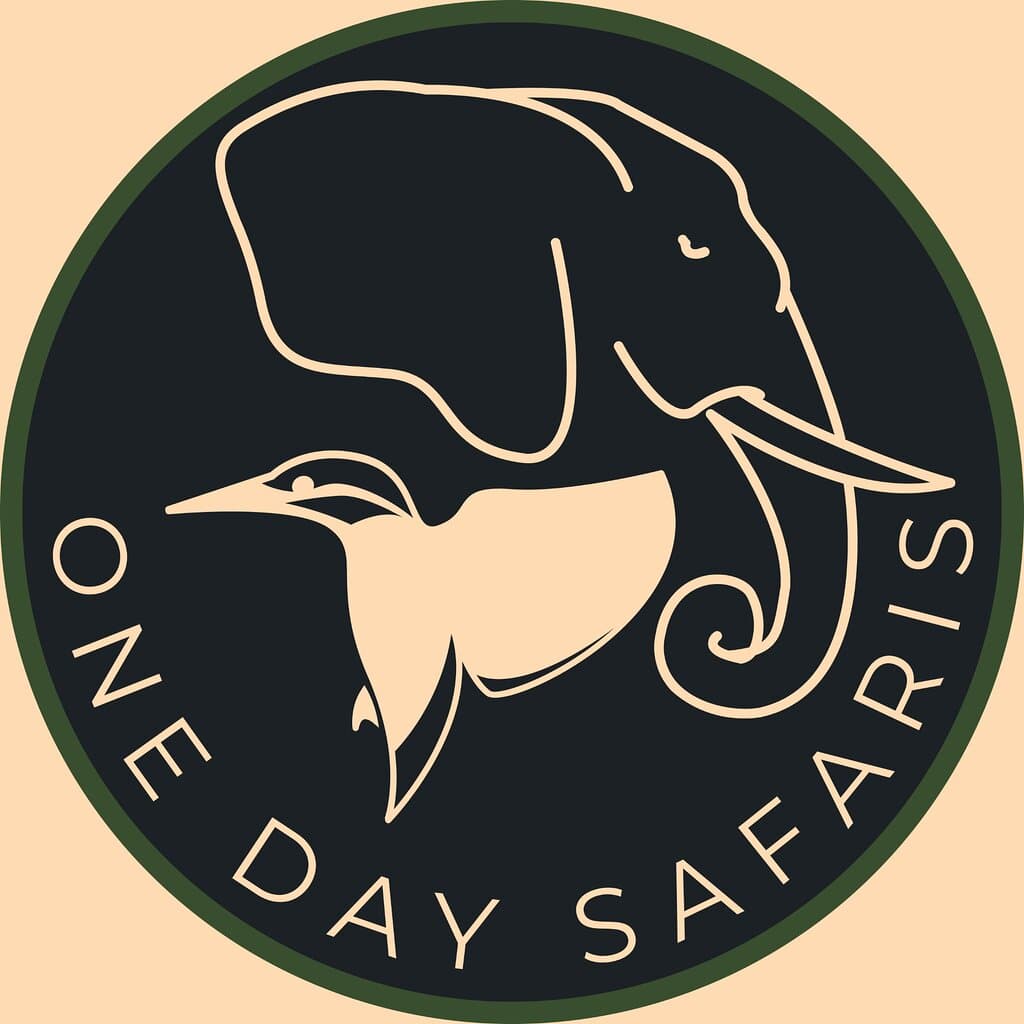 Lion & Safari Park Johannesburg