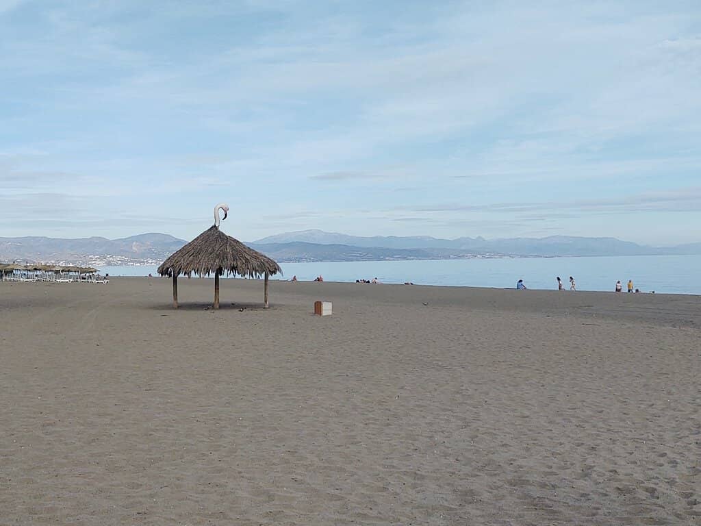 Vibrant Beachfront Promenade