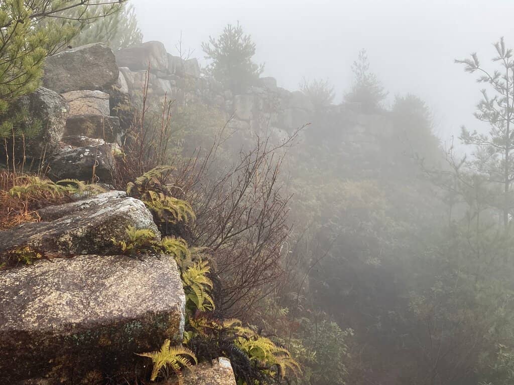 Panoramic City Views