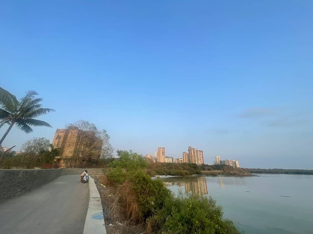 Watch Towers and Viewing Machans