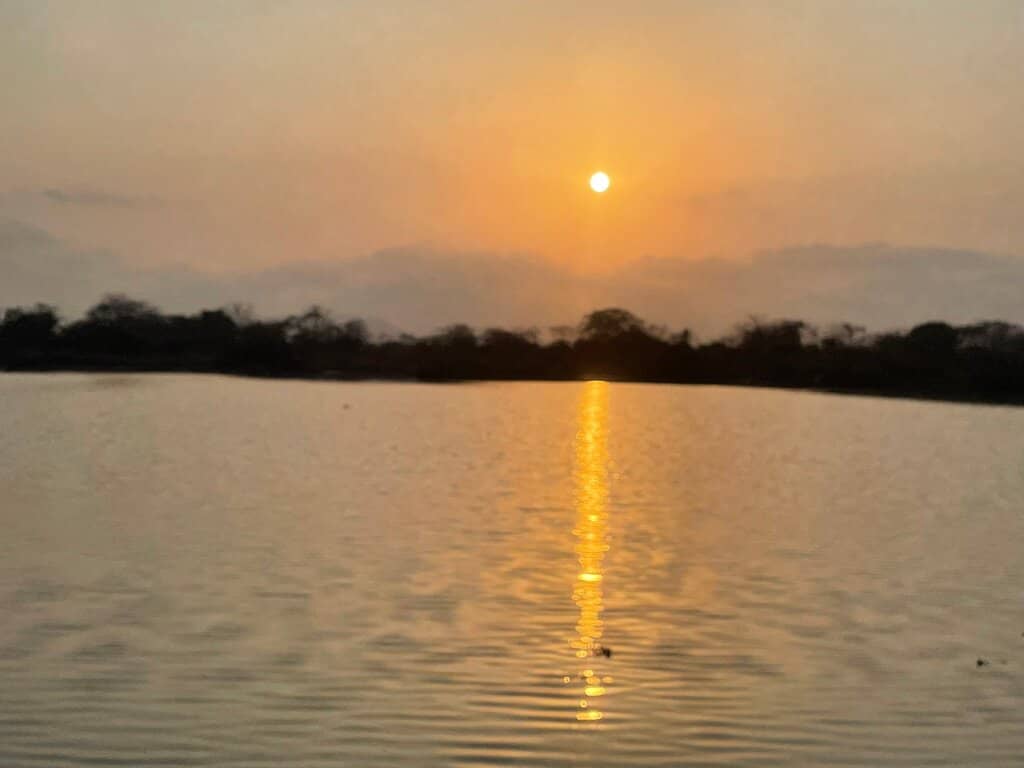 Serene Natural Setting