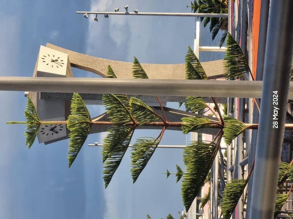 Vertical photo