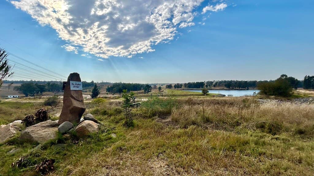 Live Music & Entertainment