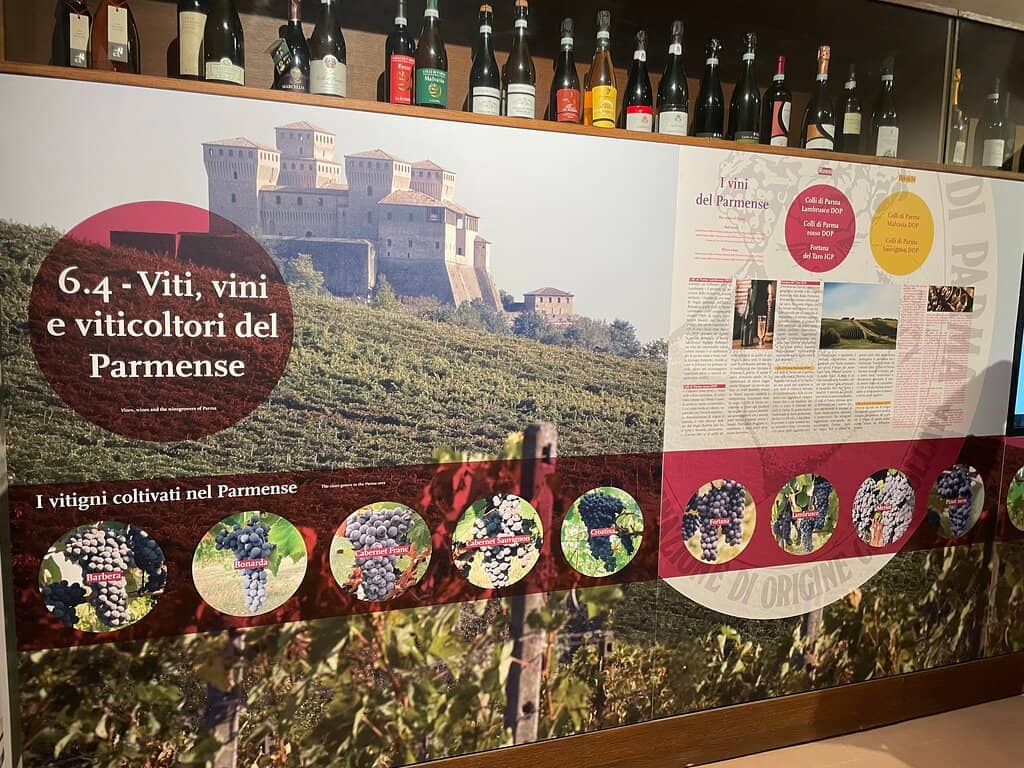 360-Degree Wine History