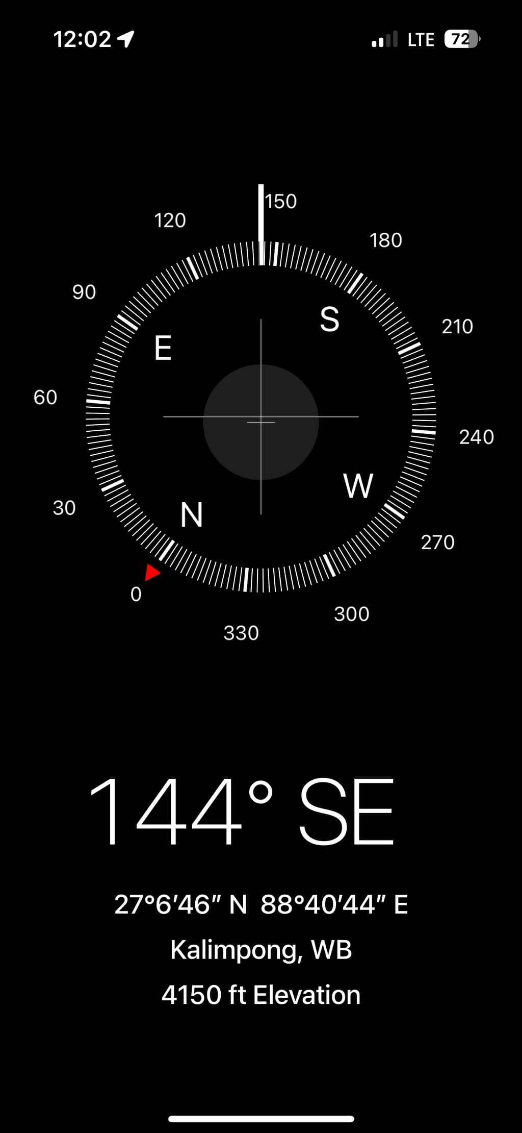 Enchanting Forest Trail