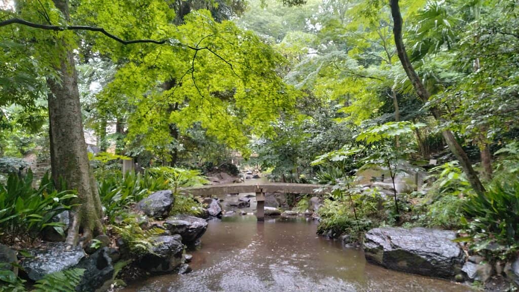 Vibrant Seasonal Flora