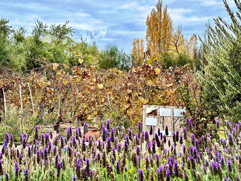 Family-Led Wine Tours