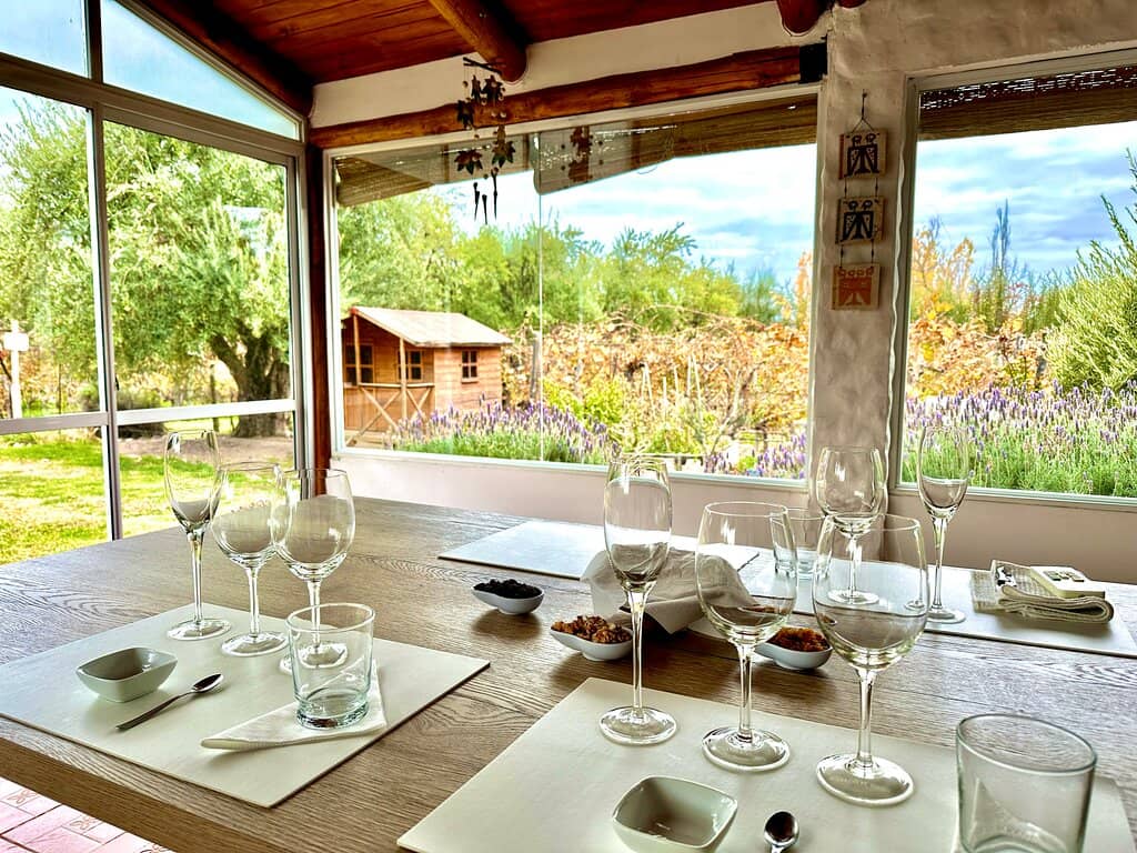 Artisanal Olive Oil Tasting