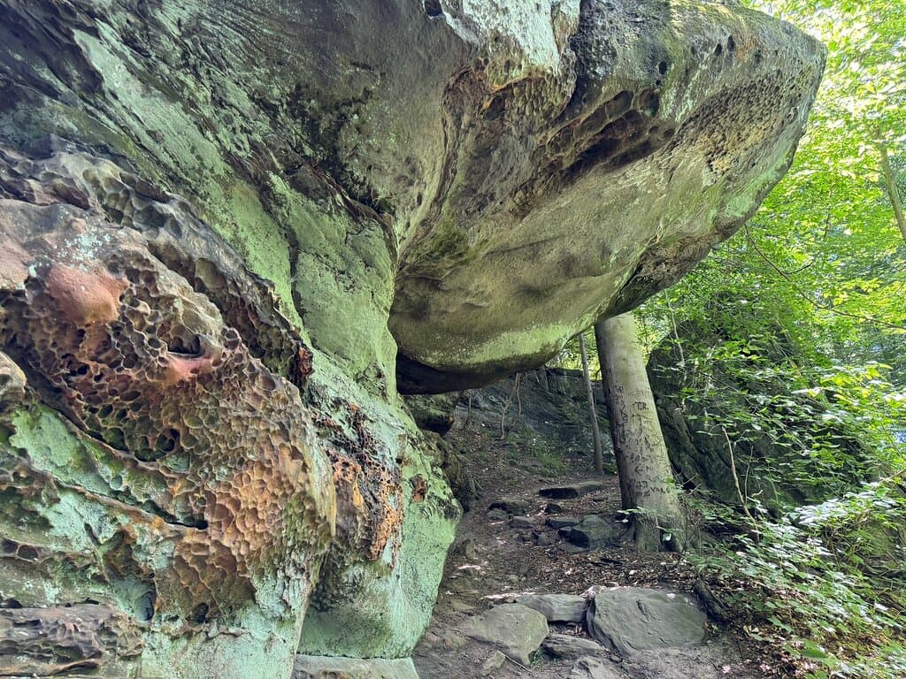 2024 visit the Whipp’s Ledges at Hinkley Reservation.