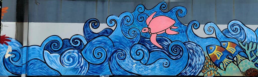 Handwoven Fijian Fans