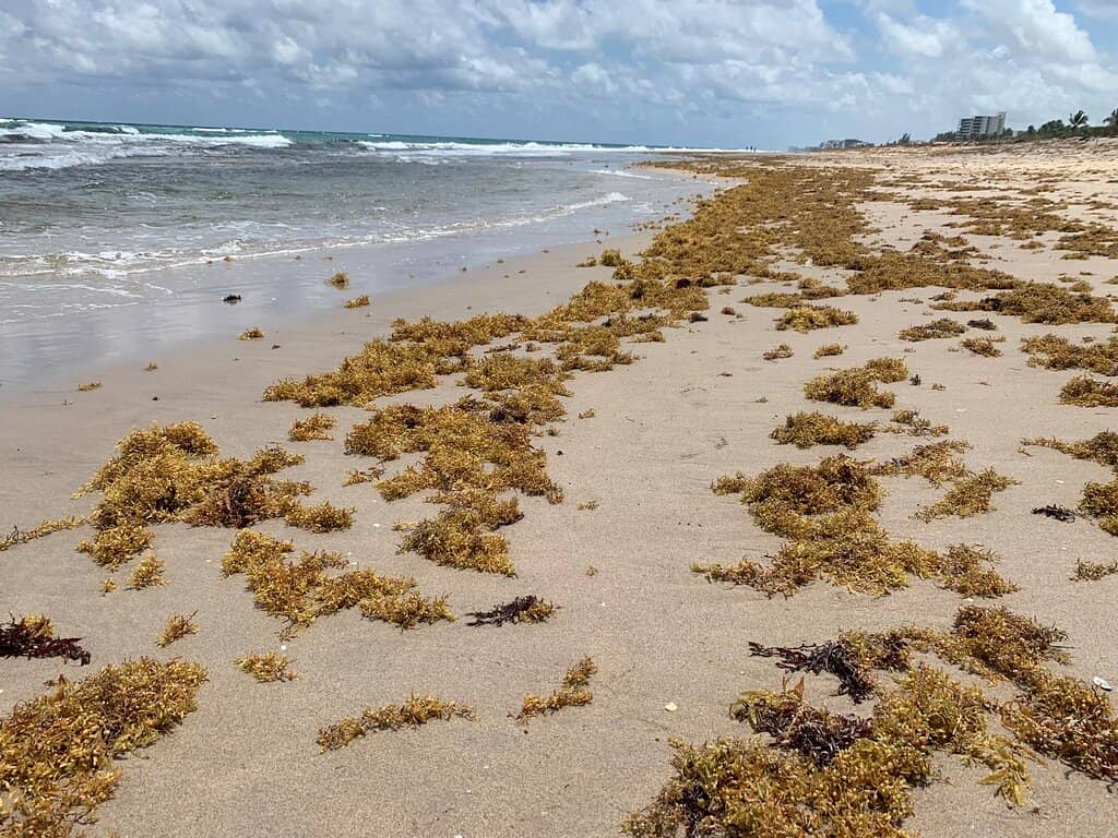 Atlantic Avenue Boardwalk