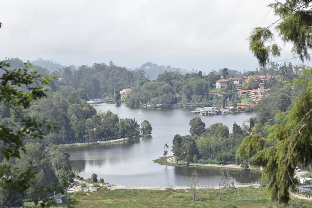 Panoramic Lake Vistas