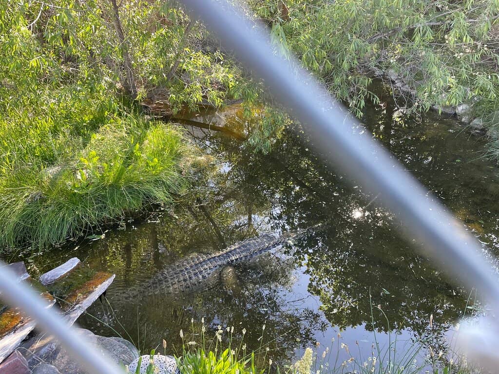 Public Soaking Pools