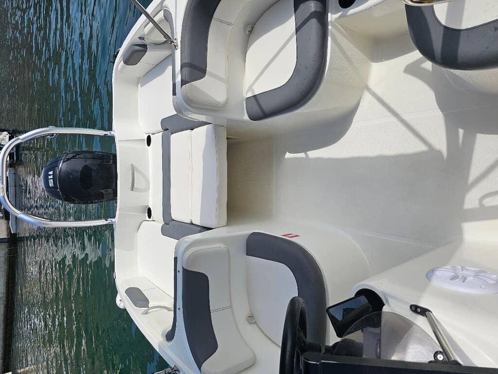 Diving and Marine Life