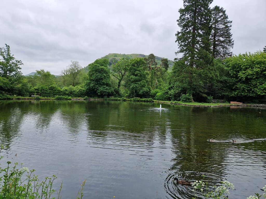 Farmers Market Delights