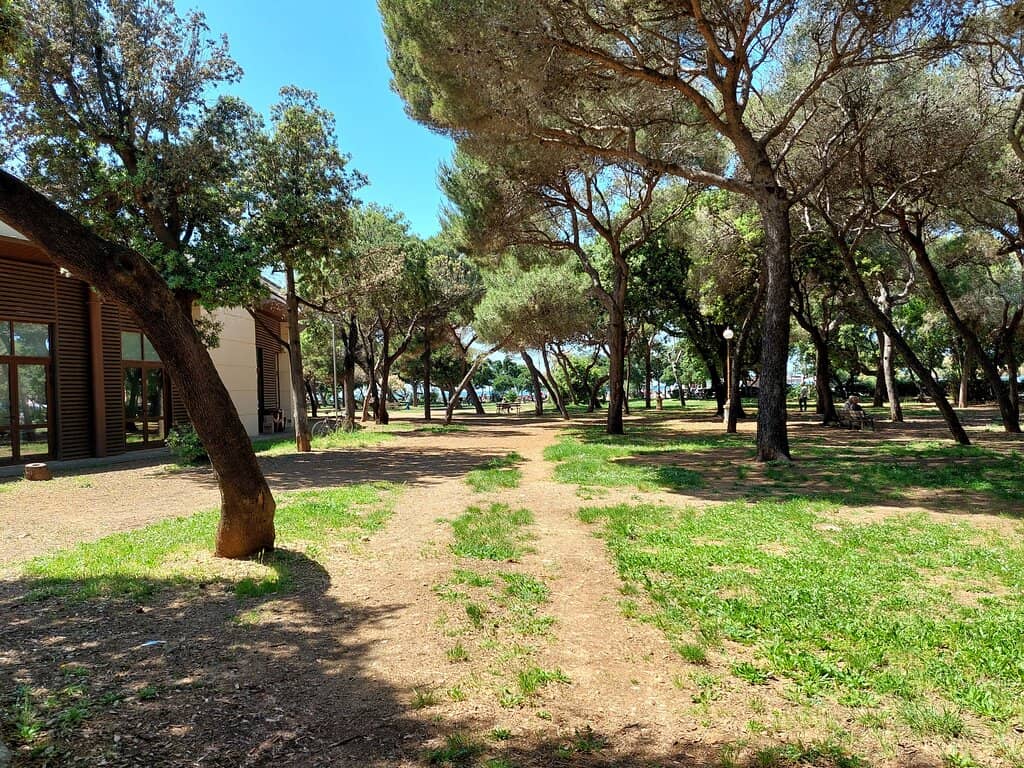 Art Exhibitions & Prizes