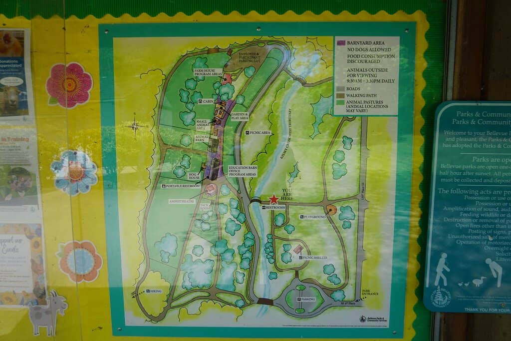 Spacious Playground