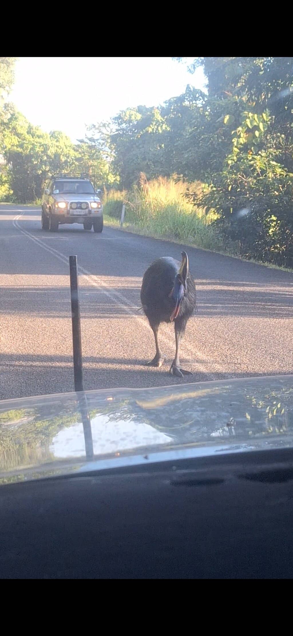 Rainforest Meets Sea