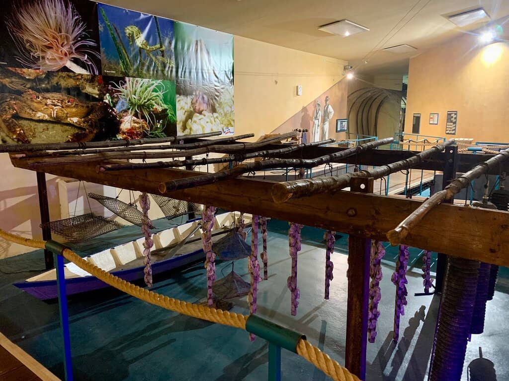 Traditional Fishing Gear