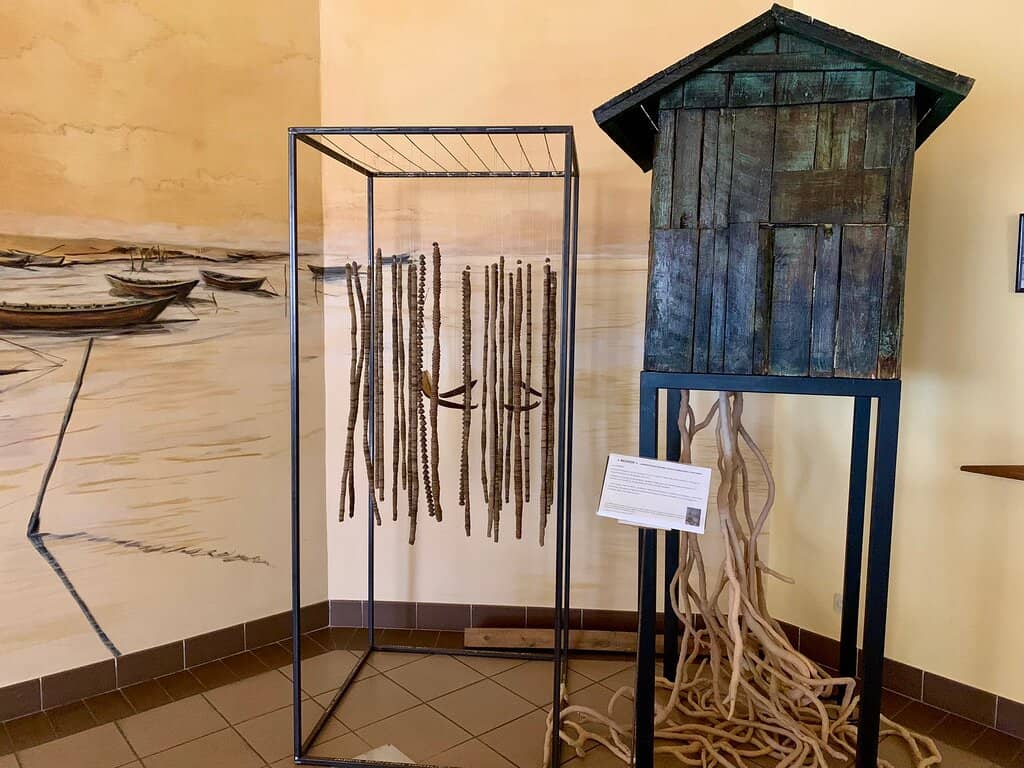 Lagoon Ecosystem Displays