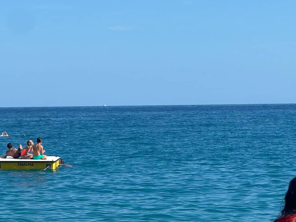 Vibrant Market Finds