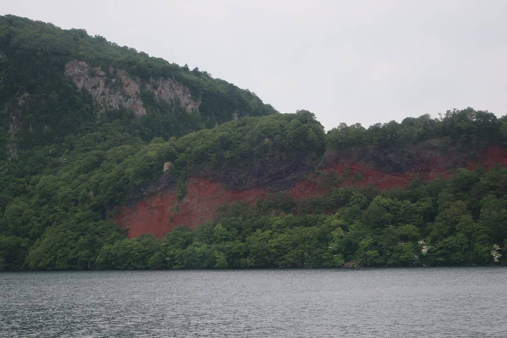 Autumn Foliage Spectacle