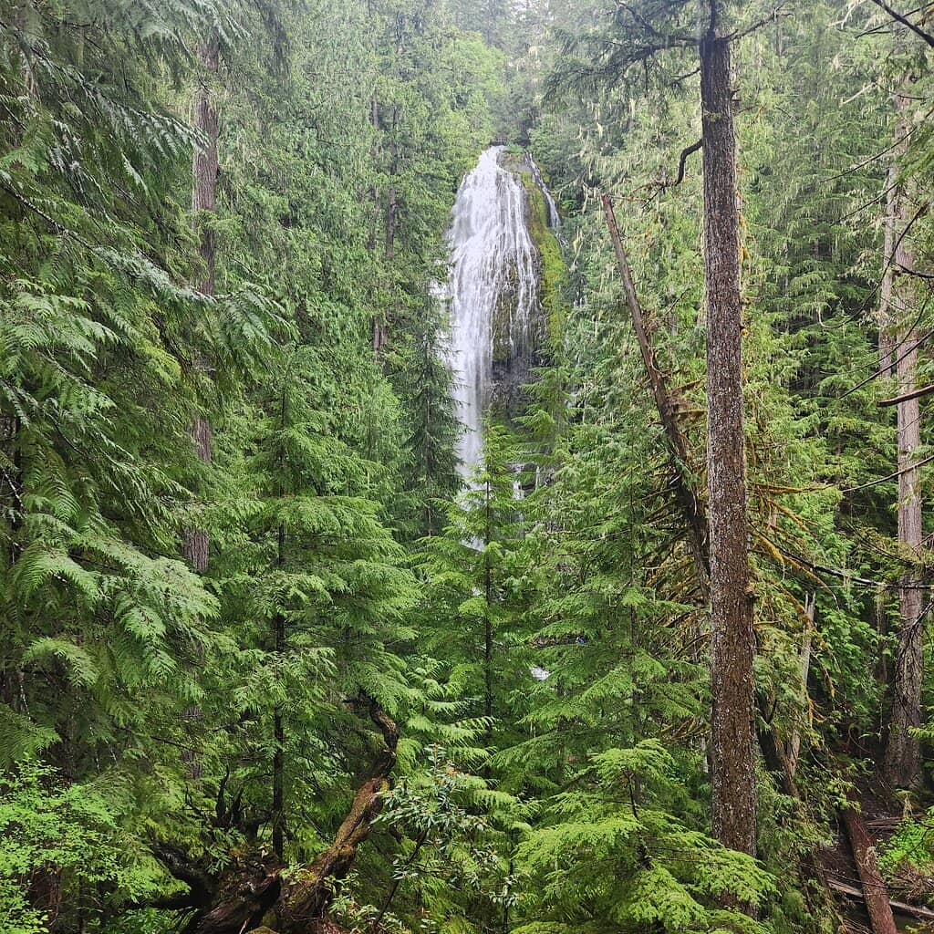 Upper Proxy Falls