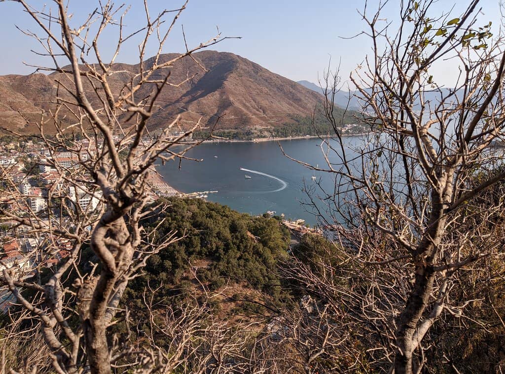 Diverse Wildlife Spotting