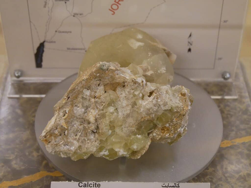 Restaurant Dining Experience