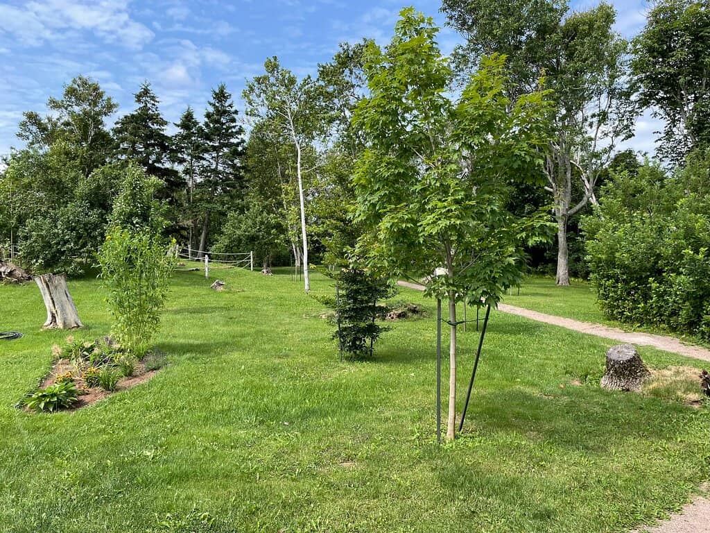 L.M. Montgomery's Homestead Foundation