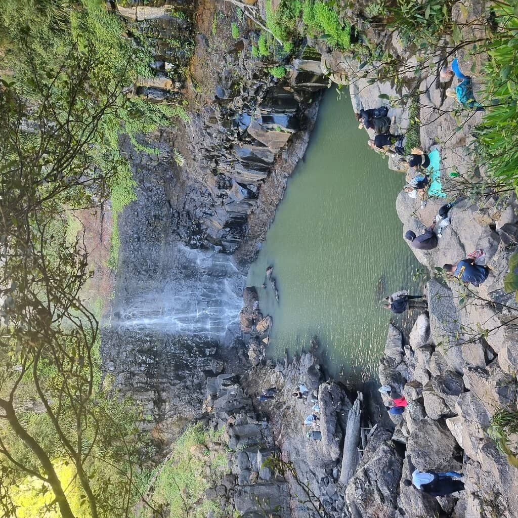 Rainforest Circuit Walk