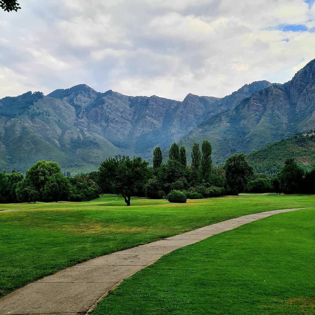 Natural Beauty & Birdwatching