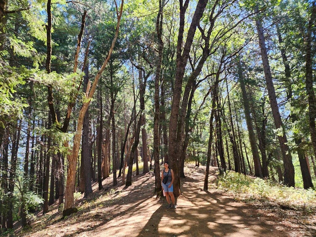 Vista Point Trail
