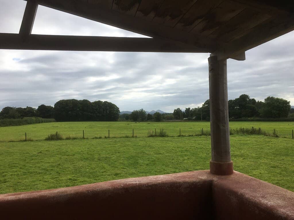 The Basilica and Forum