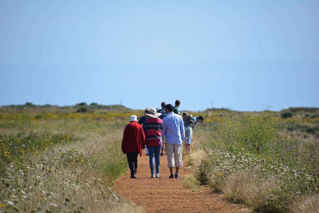 Coastal Walks
