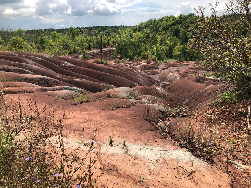 Cheltenham Badlands Toronto