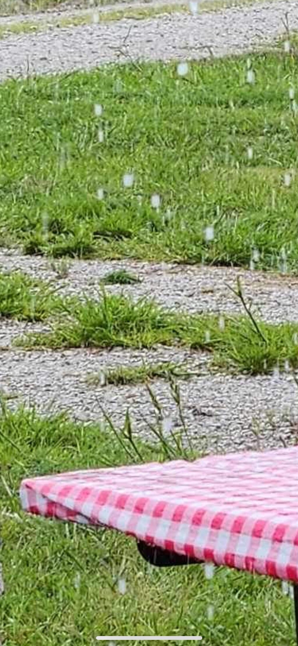 The grass was tall , worried about ticks , chiggers and fought off mosquitoes. Bathroom needed swept out .