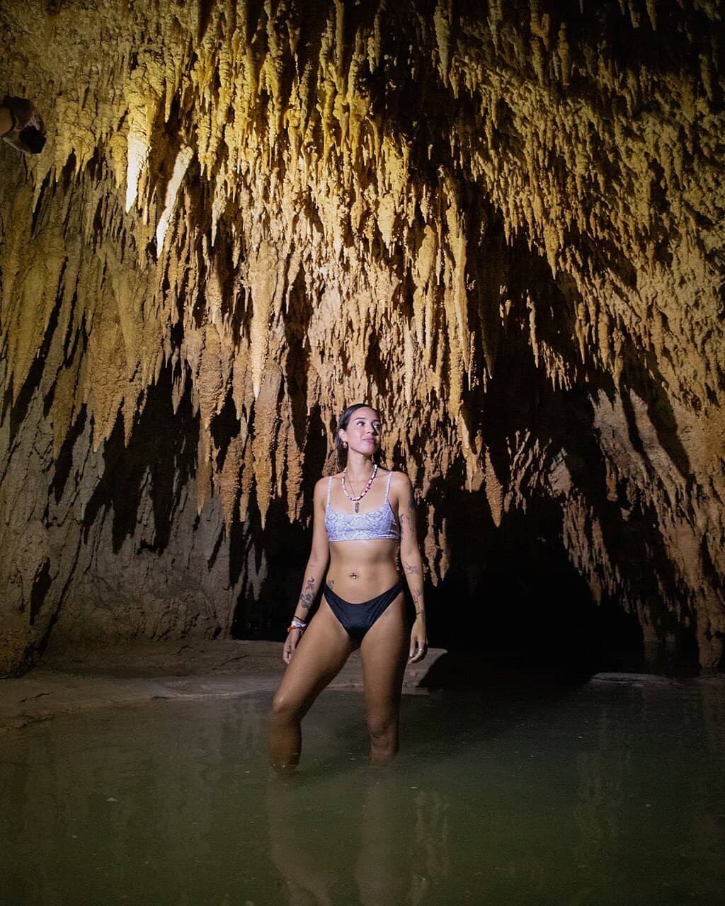 Diverse Animal Residents