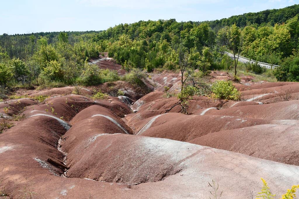 The Red Landscape
