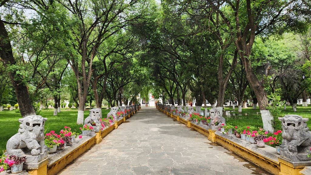 Lush Tibetan Gardens