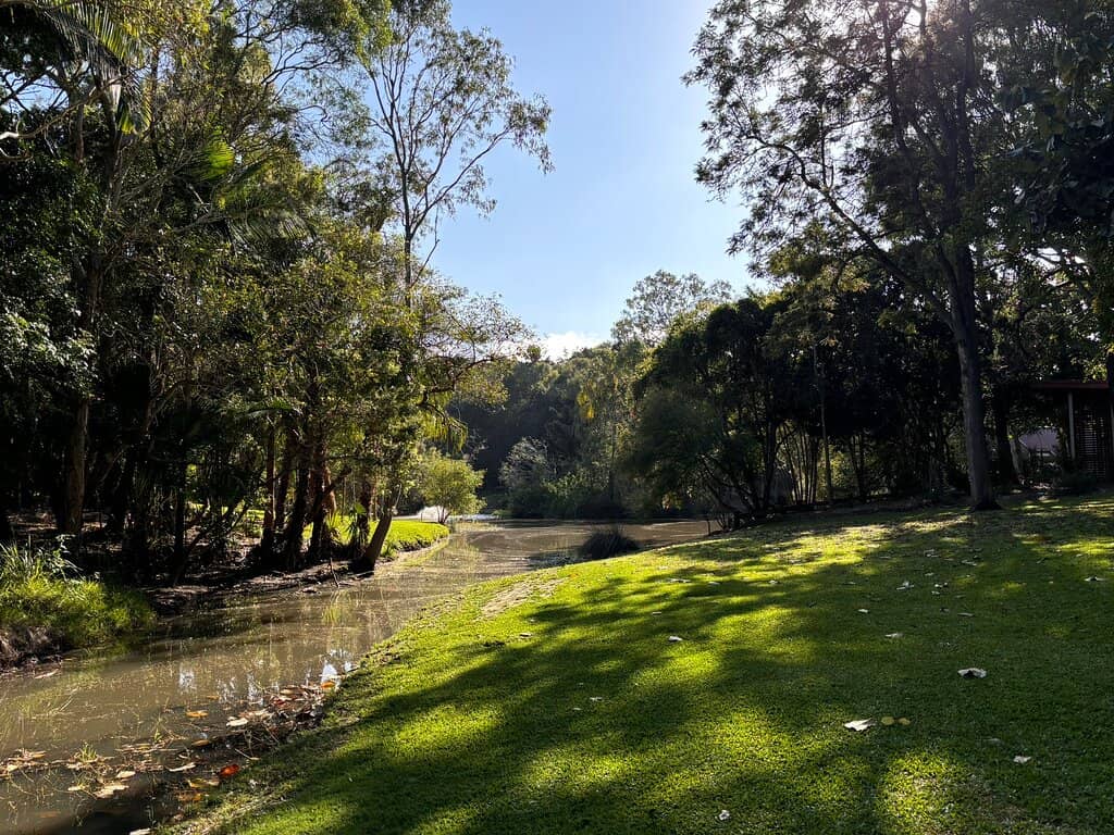 Chinese-Inspired Garden