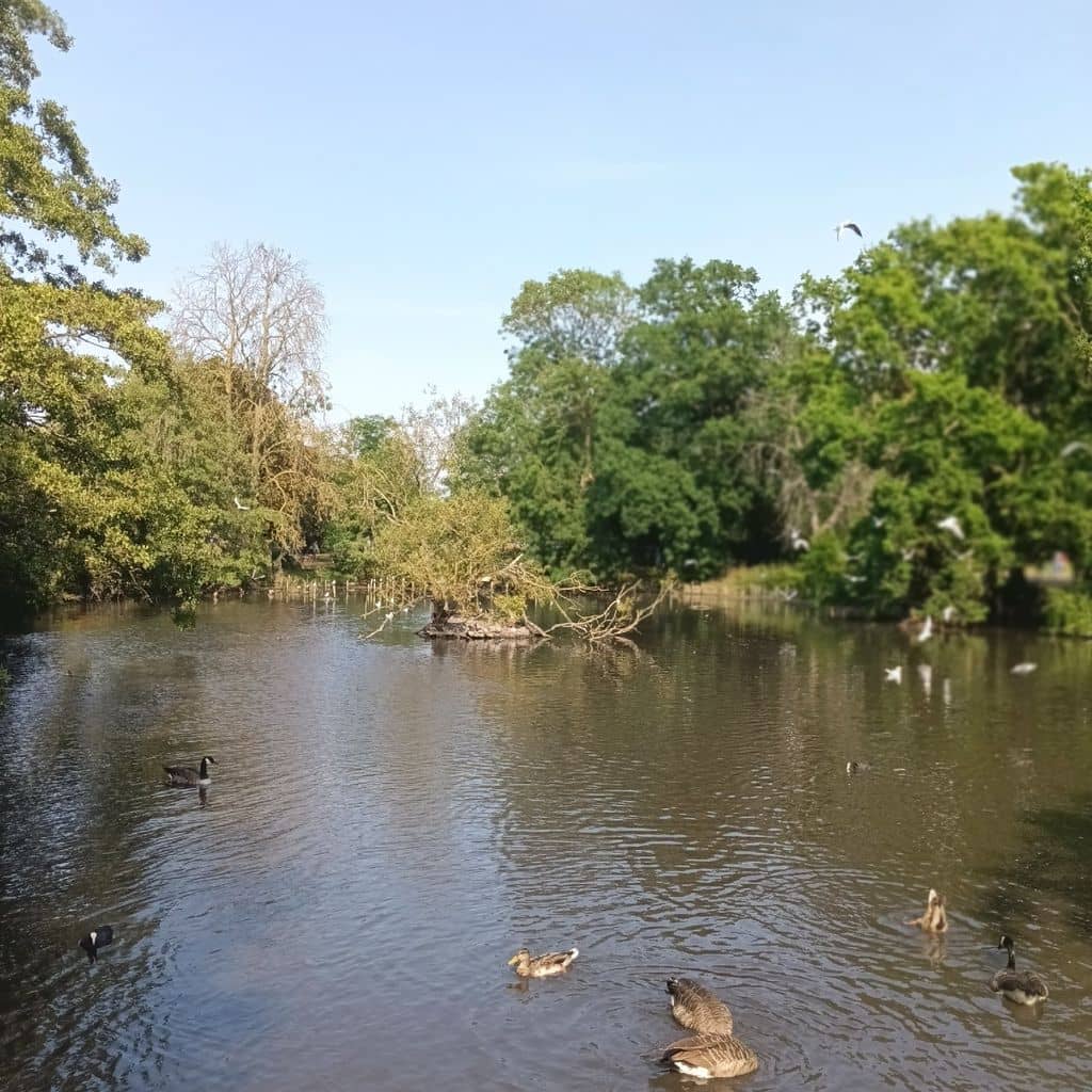 Panoramic London Views